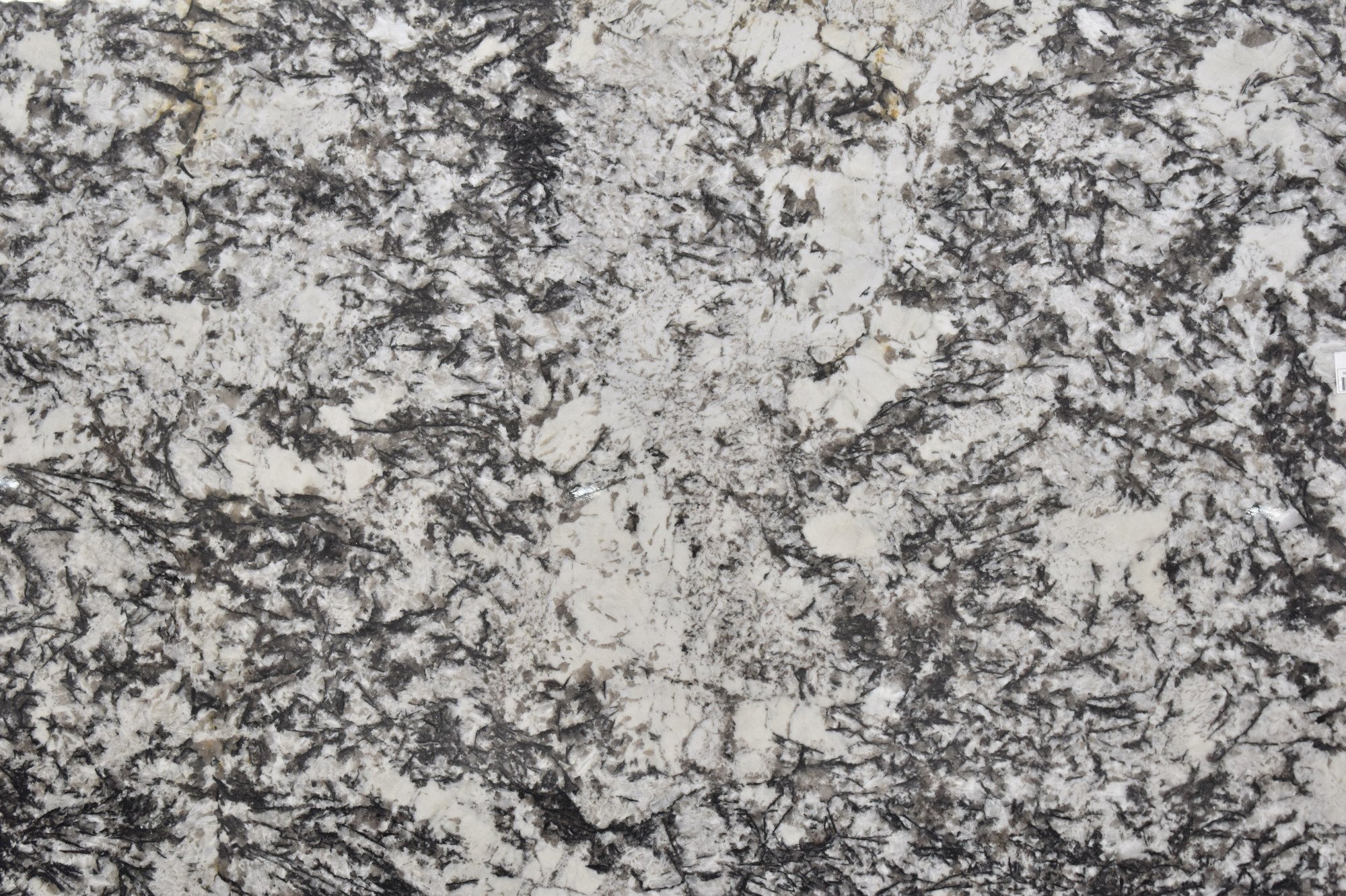 White Orion (#0016752A) Granite | The Stone Gallery