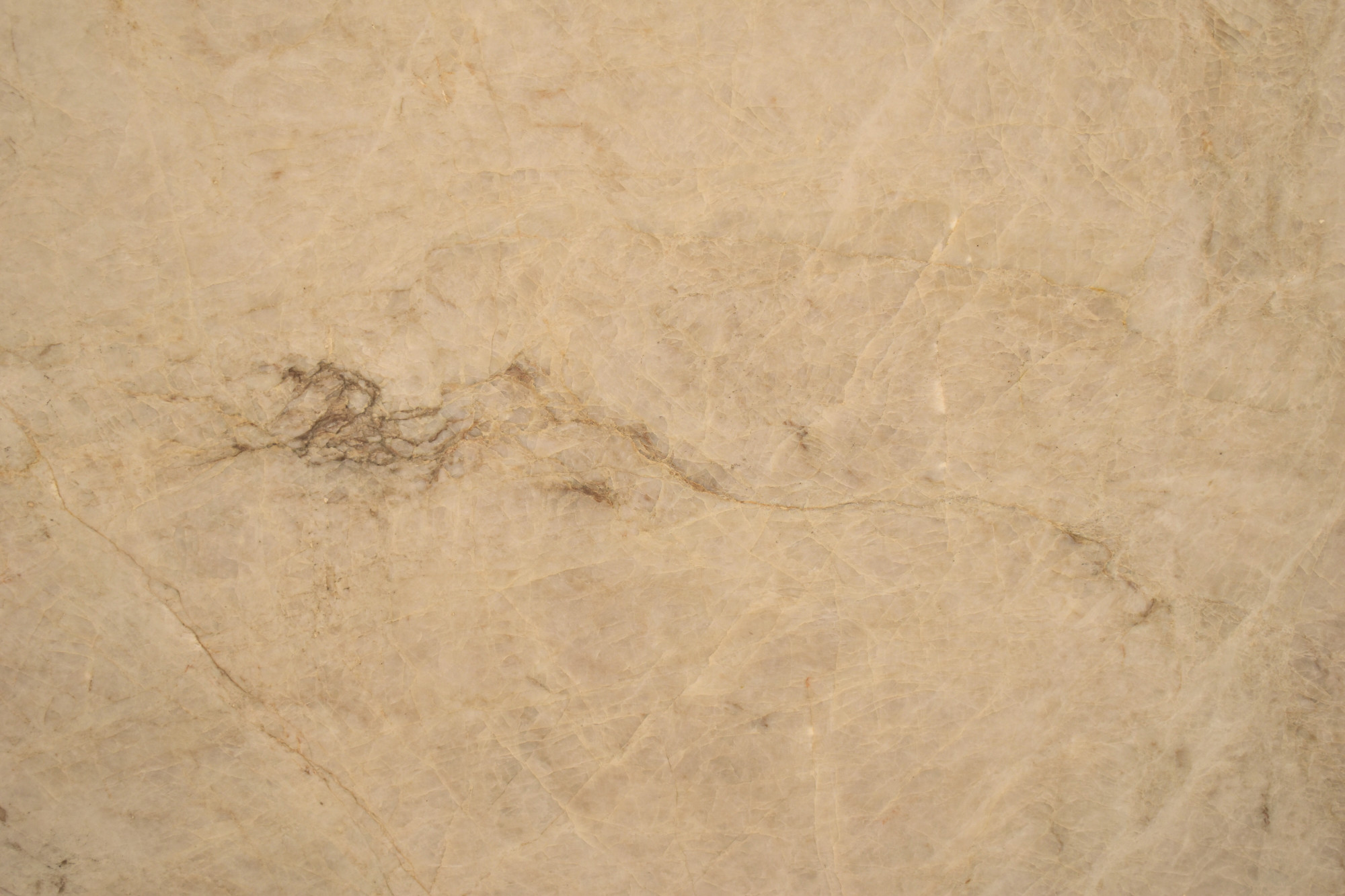 Perla Venata Leathered Cream Quartzite