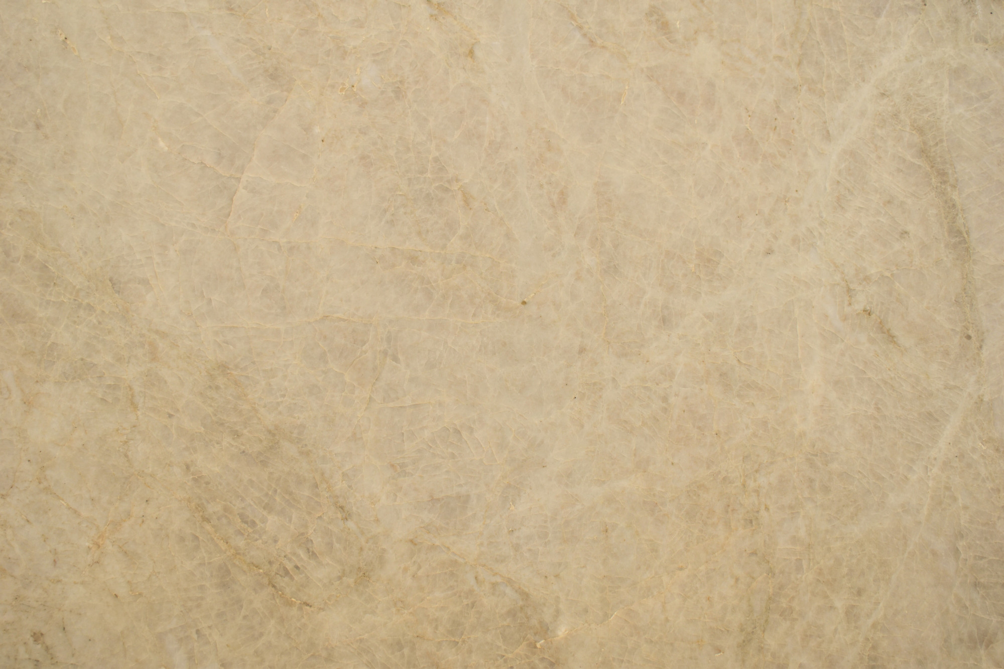 Perla Venata Leathered Cream Quartzite