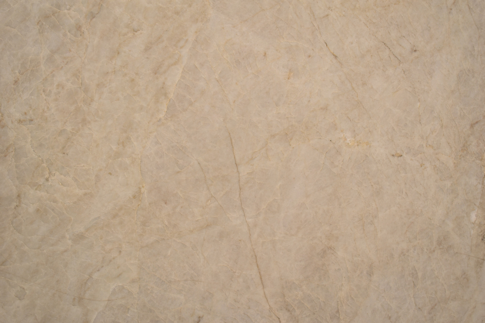 Perla Venata Leathered Cream Quartzite