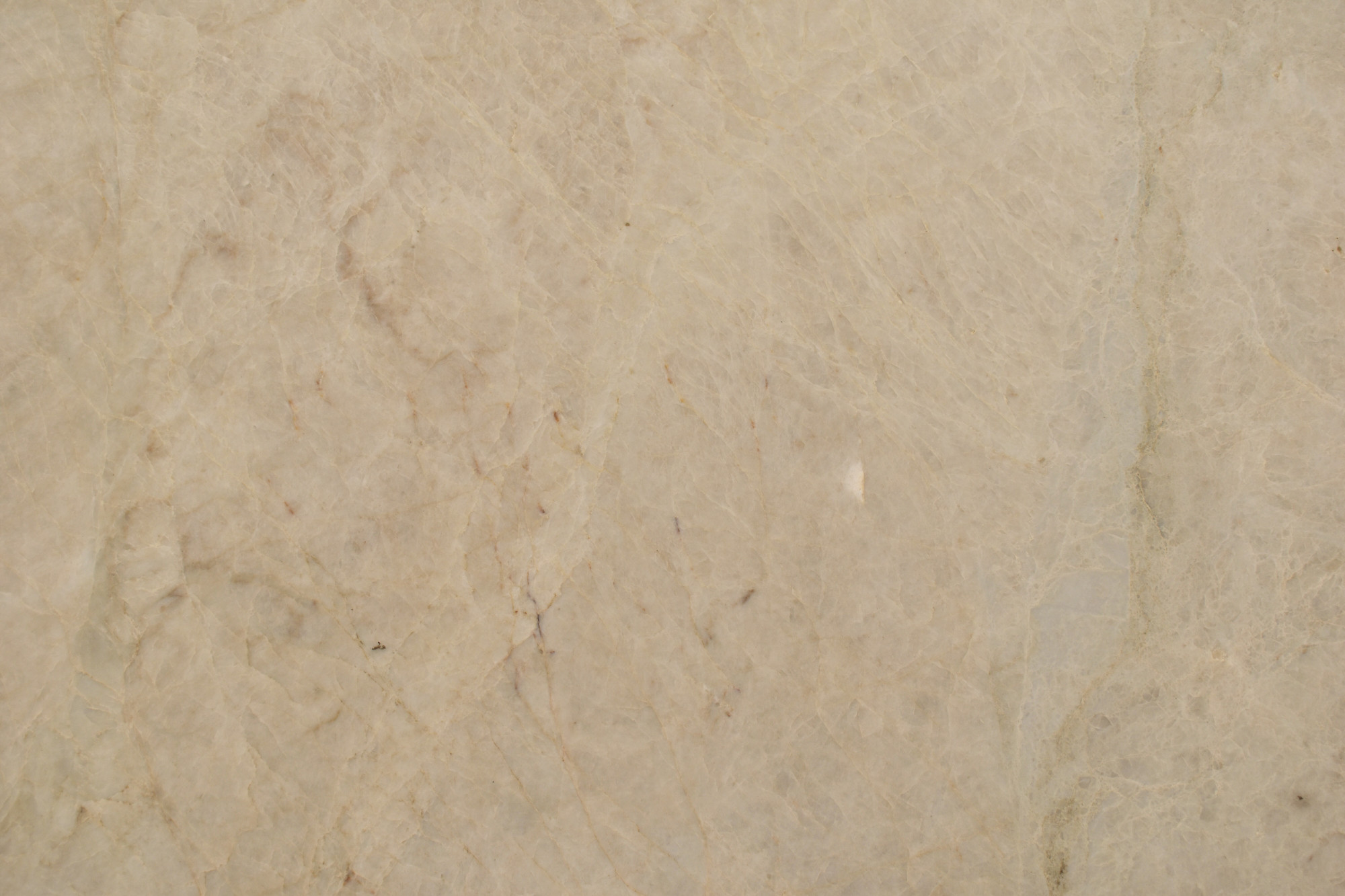 Perla Venata Leathered Cream Quartzite